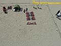 Cervia-2013-KAP-k-12