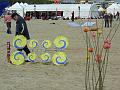 Cervia-2013-k-011