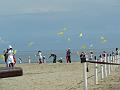 Cervia-2013-k-026