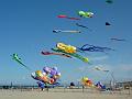Cervia-2013-k-073